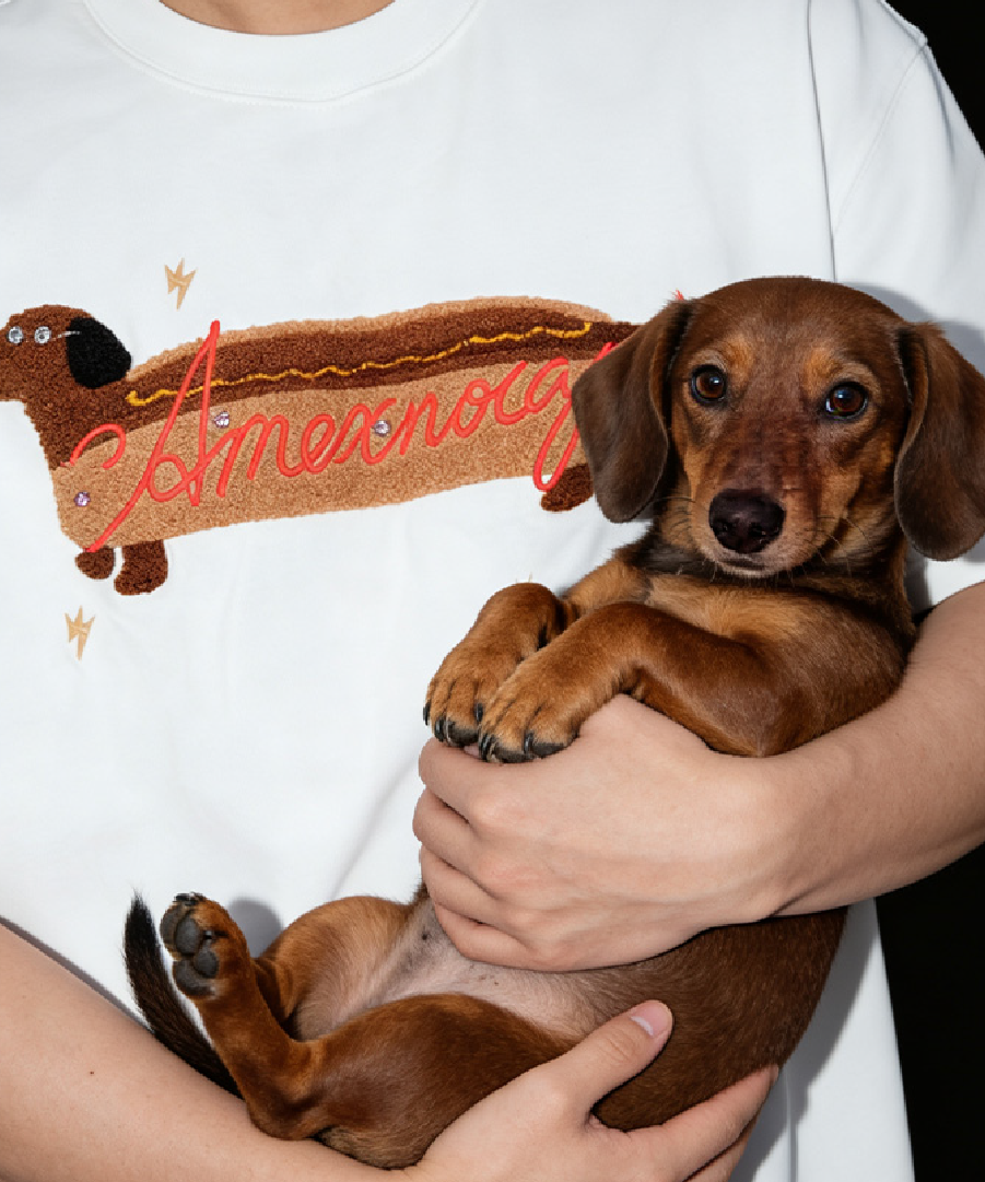 Unisex Hot Dog Chenille Tee